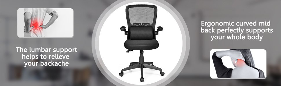 Ergonomic Desk Chair with Lumbar Support and Flip up Armrest