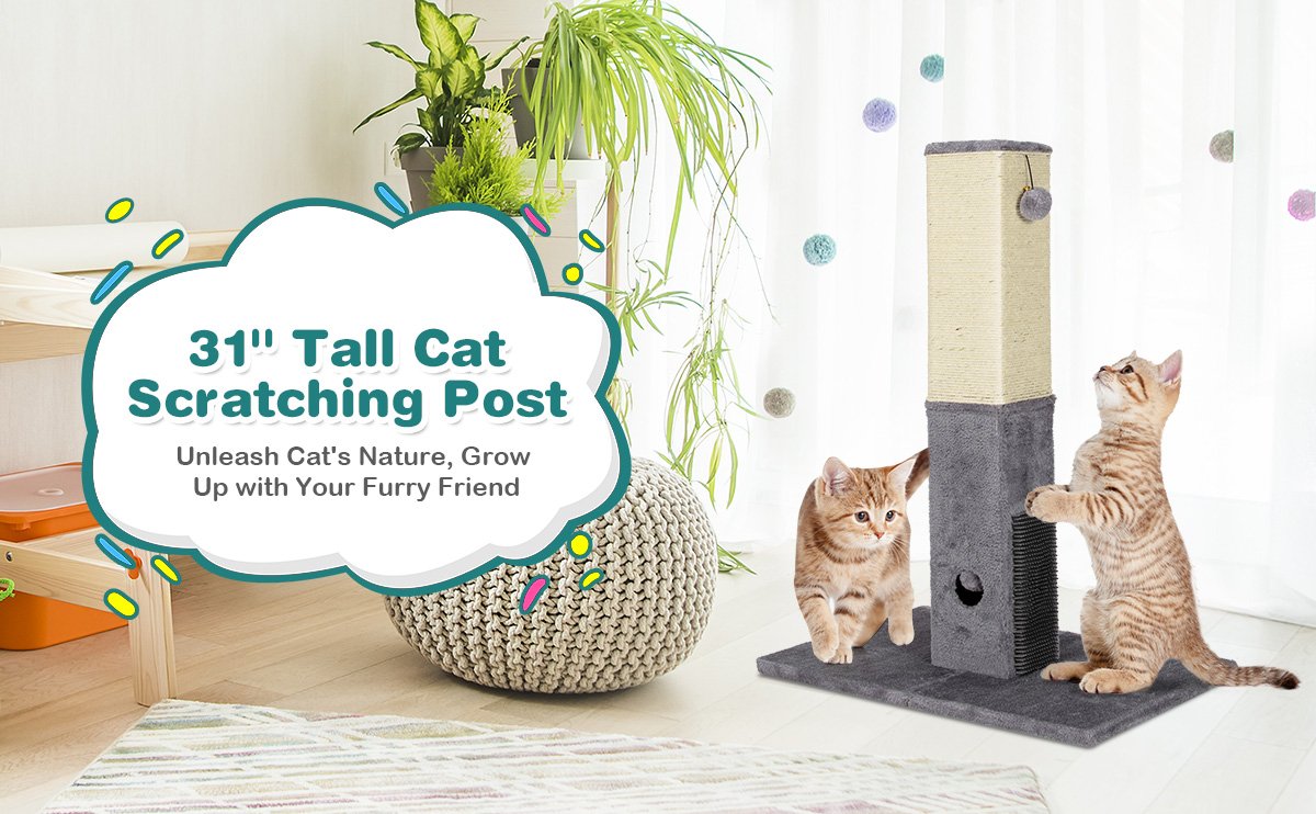 31 Inch Tall Cat Scratching Post Claw Scratcher with Sisal Rope and 2 plush Ball