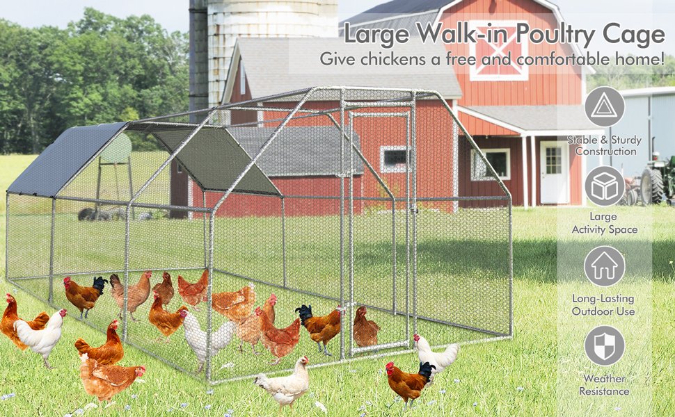 Large Walk In Chicken Run Cage