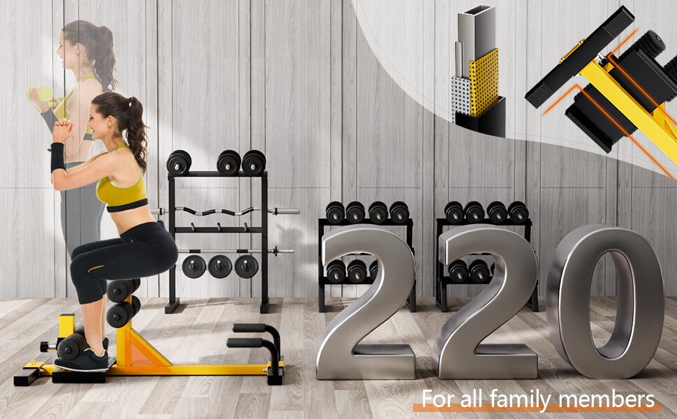 3-in-1 Sissy Squat Ab Workout Home Gym Sit-up Machine