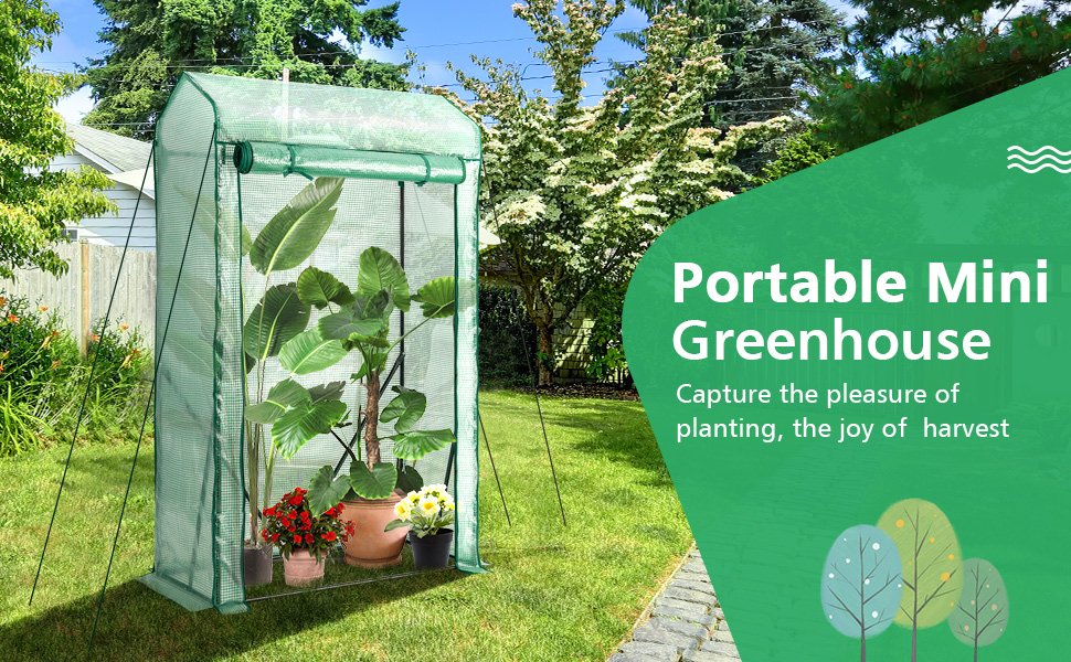 Walk-in Garden Greenhouse Hot House Tomato Plant Warm House