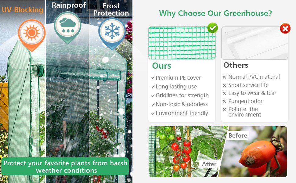 Walk-in Garden Greenhouse Hot House Tomato Plant Warm House