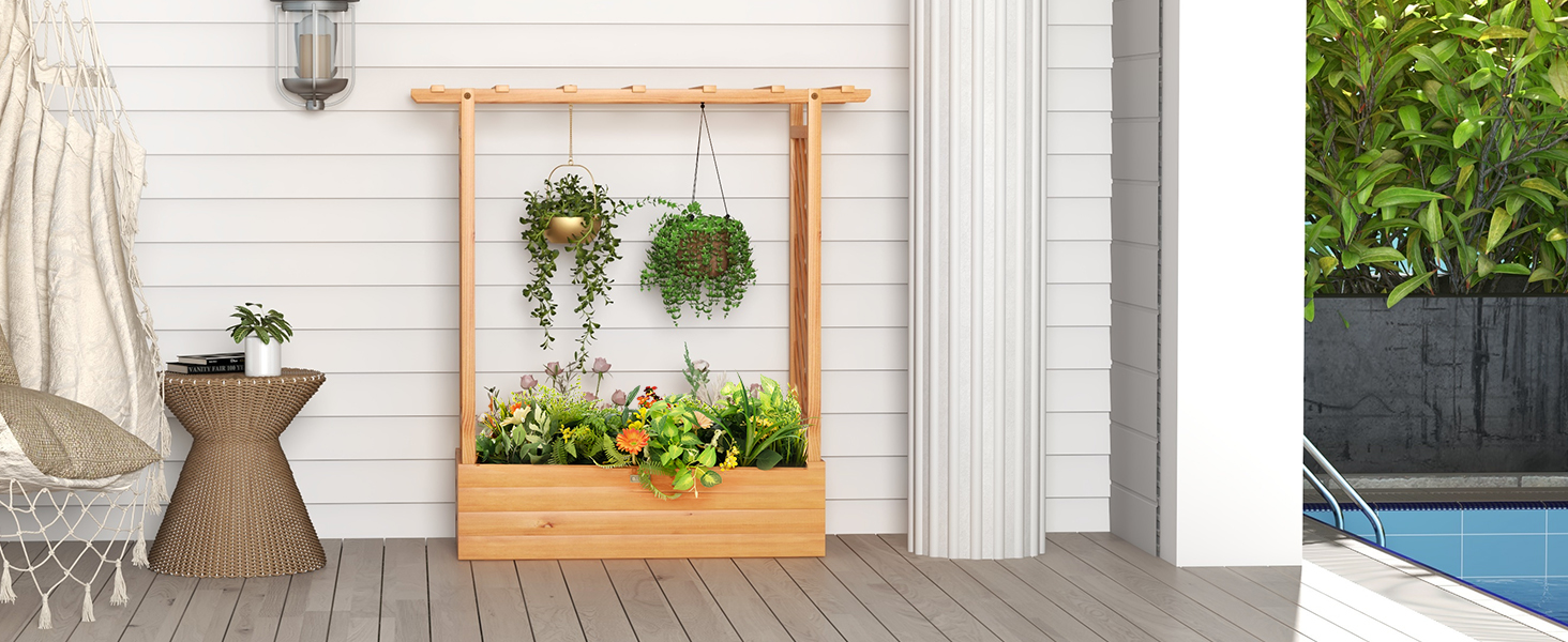Raised Garden Bed with Trellis or Climbing Plant and Pot Hanging