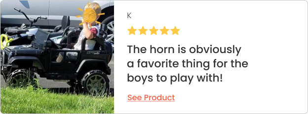 The horn is obviously
                            a favorite thing for the
                            boys to play with!